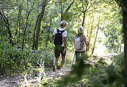 Ein älteres Paar macht einen Spaziergang durch einen Wald.